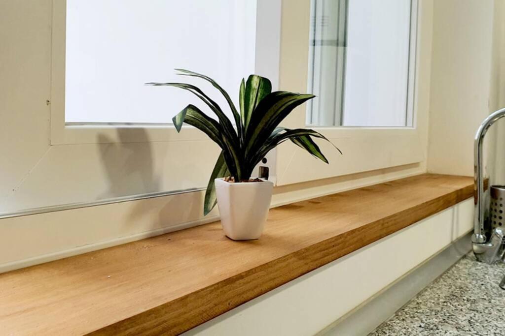 Apartamento Interior En El Absoluto Centro Ba Algeciras Luaran gambar
